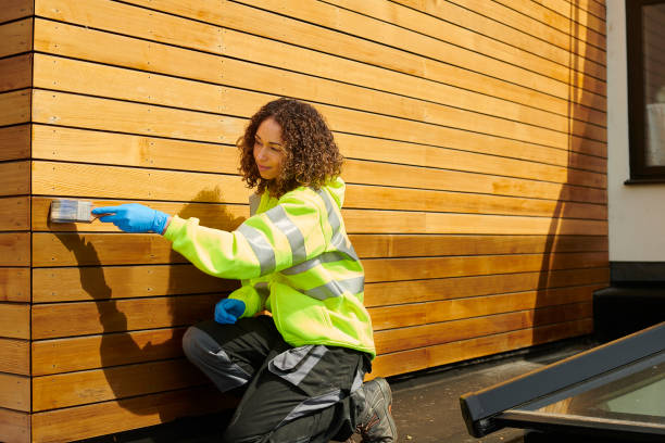 Best Historical Building Siding Restoration  in Belmond, IA